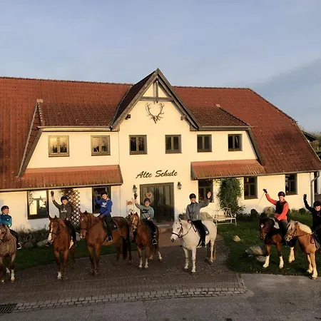 Apartament Wollin By Interhome