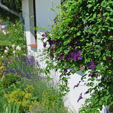 Apartament Wollin By Interhome Dargun